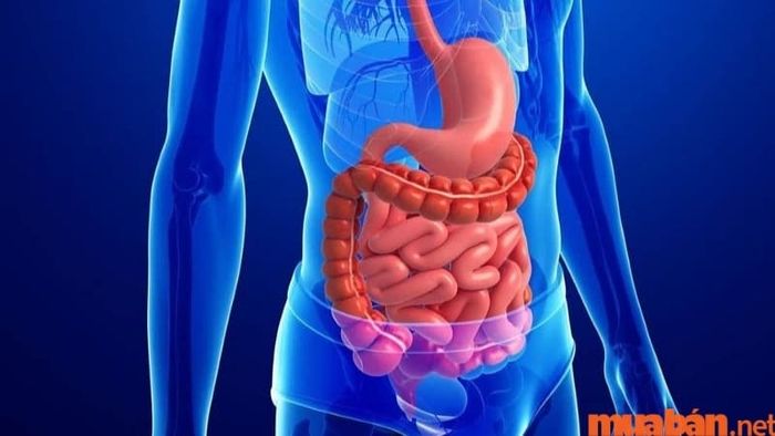 Khoa ngoại điều trị các bệnh lý liên quan đến phẫu thuật và các can thiệp ngoại khoa.