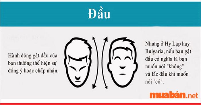 Giao tiếp phi ngôn ngữ là gì? Hành vi và thông điệp không lời trong giao tiếp
