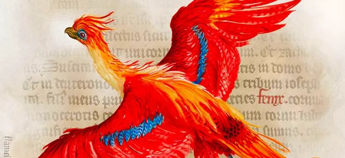 Jim Kay’s painting beautifully captures the vibrant colors of the phoenix, the majestic creature Harry Potter encountered in his second year at Hogwarts.