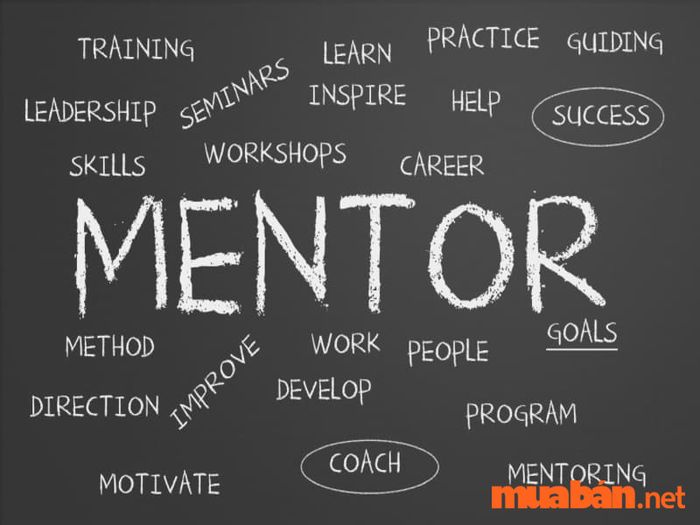 Mentor là gì? Vai trò quan trọng trong sự phát triển của doanh nghiệp