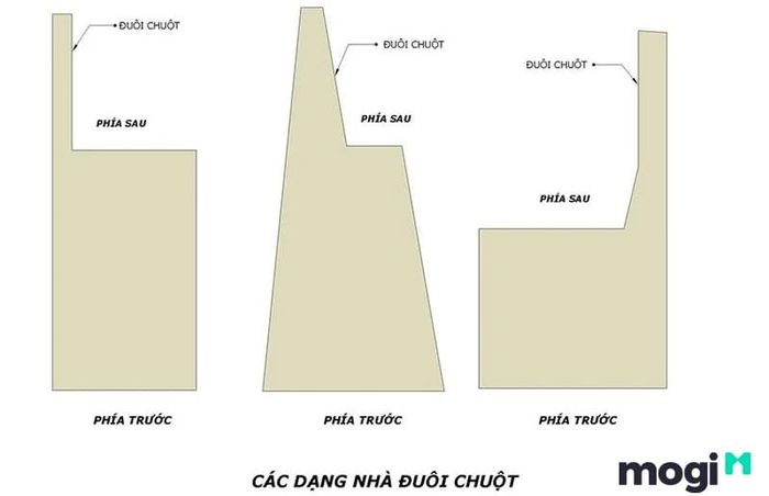 Đất đầu voi đuôi chuột