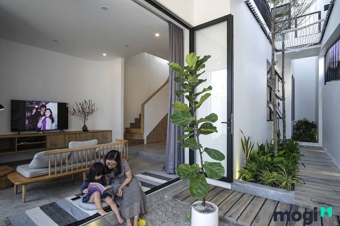 Đất đầu voi đuôi chuột