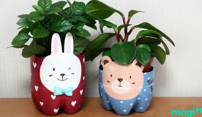 Chậu cây được làm từ vỏ chai nhựa đã qua sử dụng, mang lại hiệu quả bảo vệ môi trường cao.