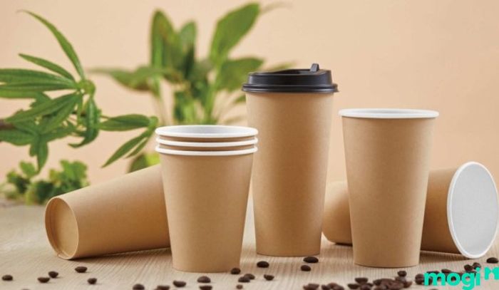 Ly giấy là một trong những sản phẩm tái chế bảo vệ môi trường không thể thiếu, mang lại giải pháp bền vững cho việc sử dụng đồ dùng hàng ngày.