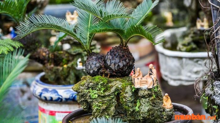 Đại diện cho sự trường thọ và khả năng phục hồi mạnh mẽ
