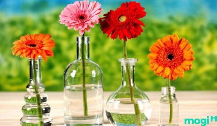 Một cách đơn giản nhưng vô cùng hiệu quả, chỉ cần cắm vài bông hoa vào bình thủy tinh là bạn đã có một món đồ trang trí đẹp mắt.