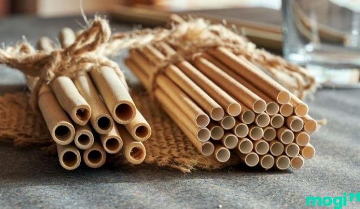 Chuyên gia khuyến cáo việc thay thế ống hút nhựa bằng ống hút tre sẽ là một bước đi quan trọng trong việc bảo vệ môi trường.