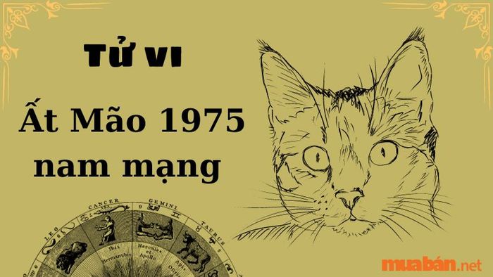 Tử vi năm 2024 cho nam mạng tuổi Ất Mão 1975