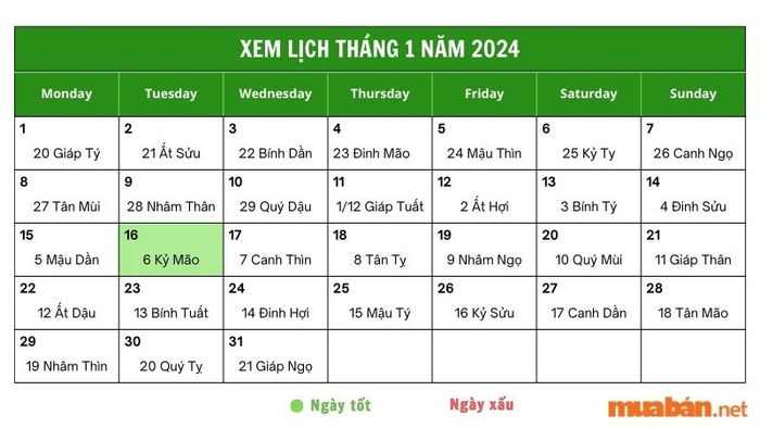 Xem chi tiết luận giải ngày 16 tháng 1 năm 2024