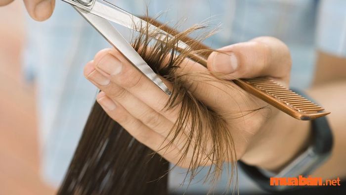 Những điều cần chú ý trước khi cắt tóc