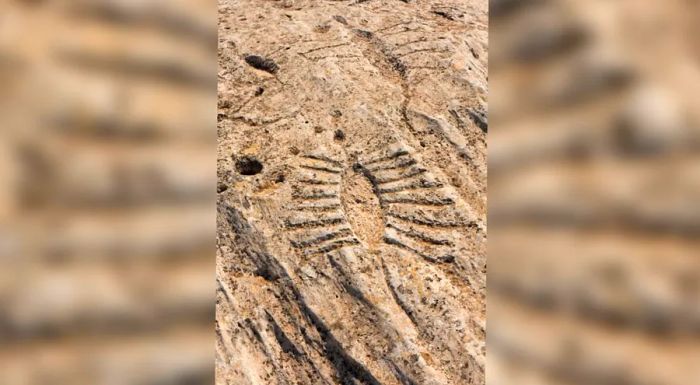 The rock carvings at Al Jassasiya are believed to depict a pearl-diving dhow, offering a glimpse into the region's deep maritime heritage.