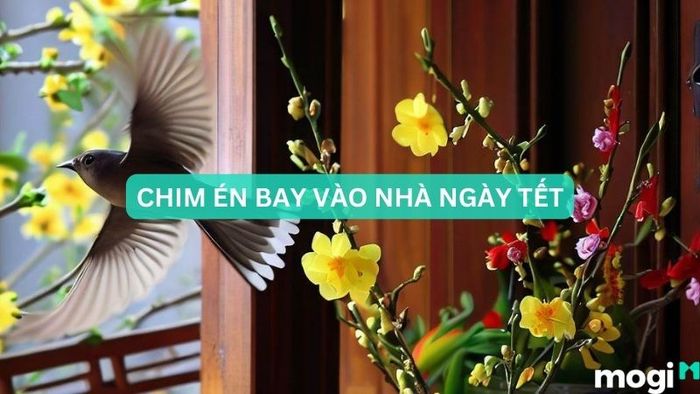 chim én bay vào nhà