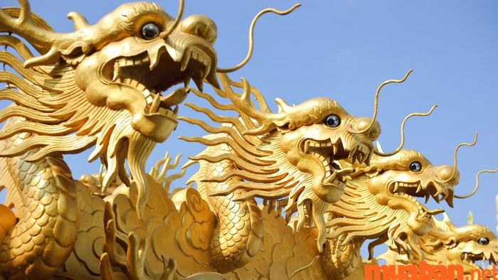 Tử vi tuổi Thìn 2024 - Tháng 8 âm lịch