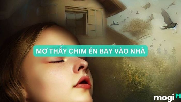 chim én bay vào nhà