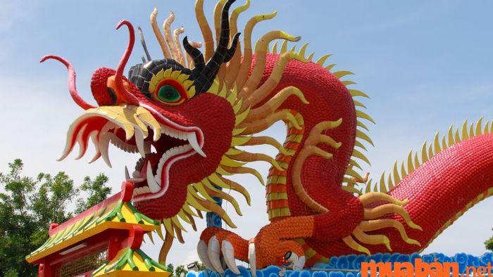 Tử vi Mậu Thìn sinh năm 1988