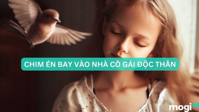 Chim én bay vào nhà