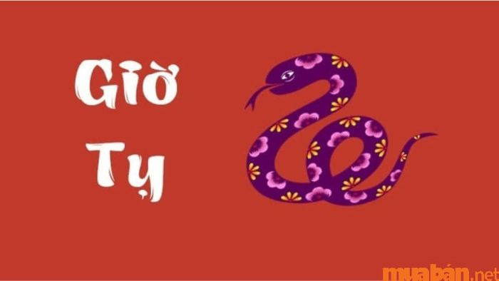 Sinh con tháng 3 năm 2024, ngày giờ nào tốt? Sinh vào giờ Tỵ có mang lại lợi ích cho bé không?