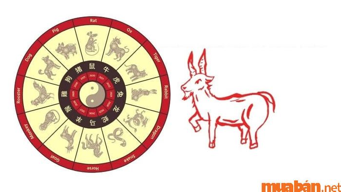 Sinh con vào giờ Mùi có tốt không?