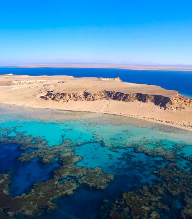 The Red Sea coastline of Saudi Arabia spans over 1,000 miles.