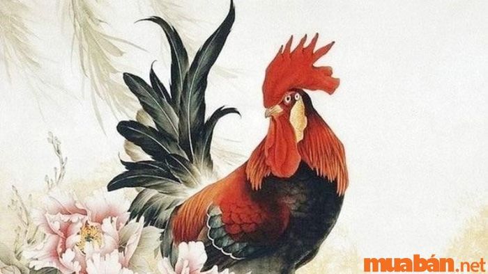 Tử vi tuổi Dậu tháng 1 năm 2024
