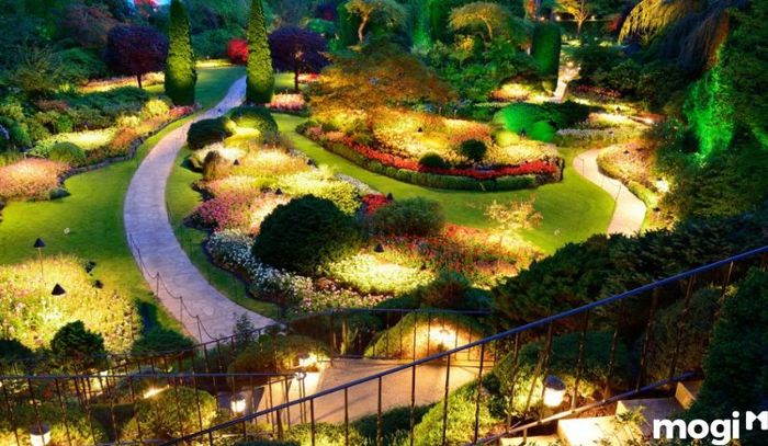 Lập Kế Hoạch Chiếu Sáng Cho Sân Vườn