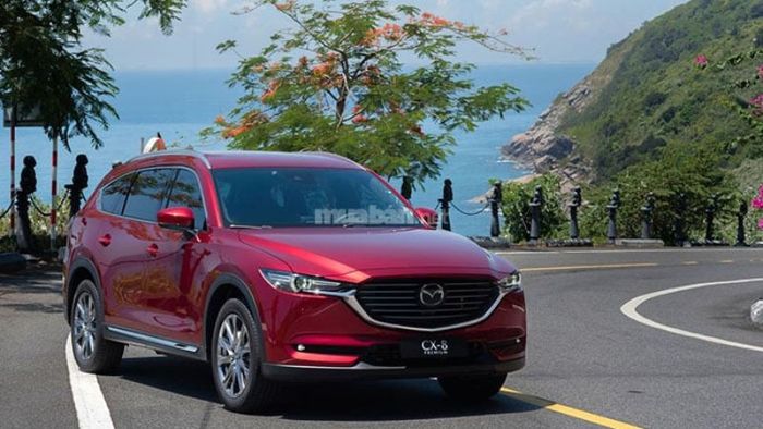 Khám phá thêm thông tin về Mazda CX-8 – Nguồn: Internet