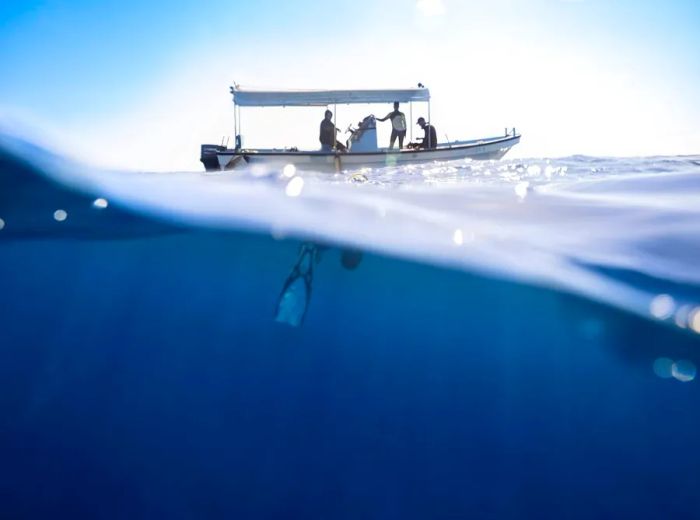 The Red Sea Coast is being hailed as a hidden gem for divers.