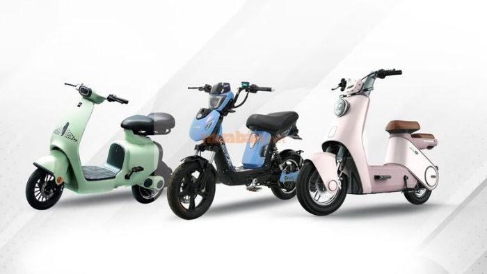 Một số mẫu xe đạp điện của DK Bike – Nguồn: Internet