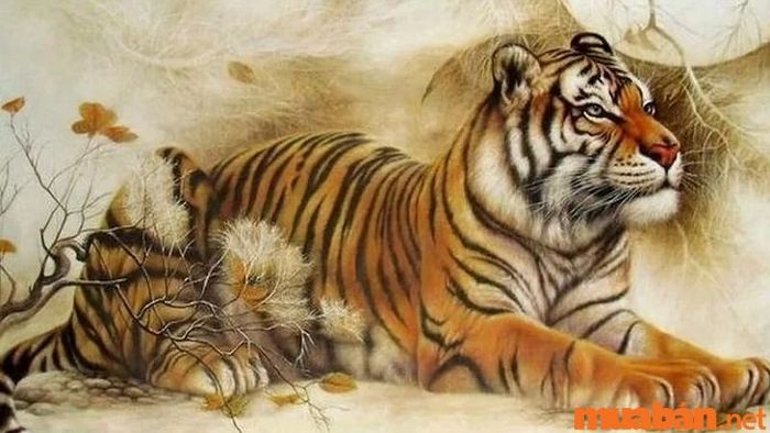 Tử vi tuổi Dần tháng 1 năm 2024