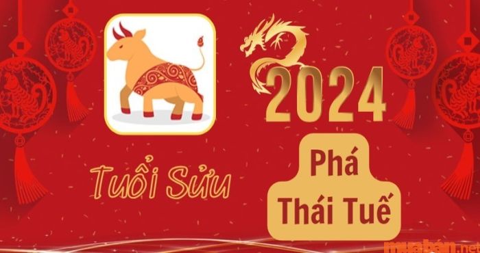 Người tuổi Sửu thuộc nhóm tuổi phạm Thái Tuế năm 2024, cần lưu ý các vấn đề trong công việc, tài chính và sức khỏe. Để tránh rắc rối, người tuổi Sửu nên chuẩn bị kỹ càng và thận trọng trong mọi quyết định trong năm nay.