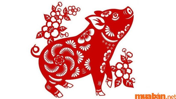 Sinh con tháng 3 năm 2024 vào giờ Hợi có tốt không?