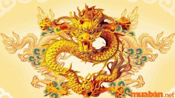 Tử vi tuổi Thìn tháng 1 năm 2024