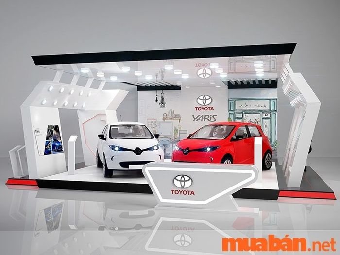 thiết kế showroom