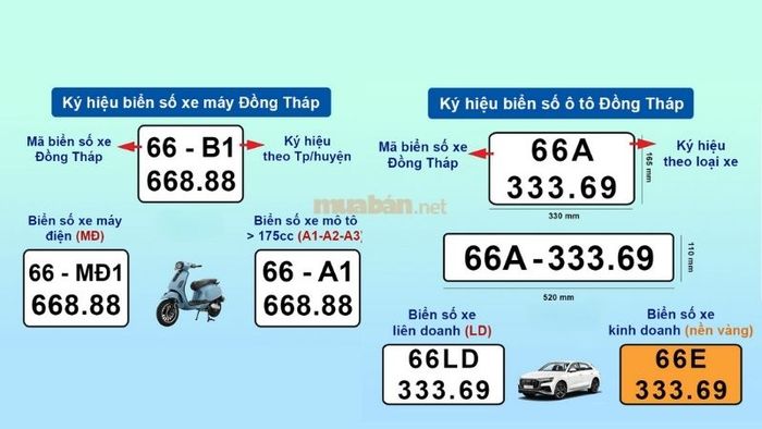 Biển số xe của Đồng Tháp có gì đặc biệt? Tìm hiểu về ký hiệu của từng khu vực ngay dưới đây