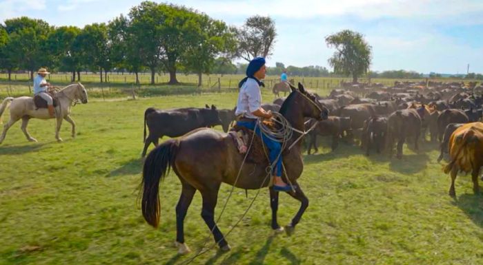 Visitors can immerse themselves in the gaucho lifestyle at El Ombú ranch.