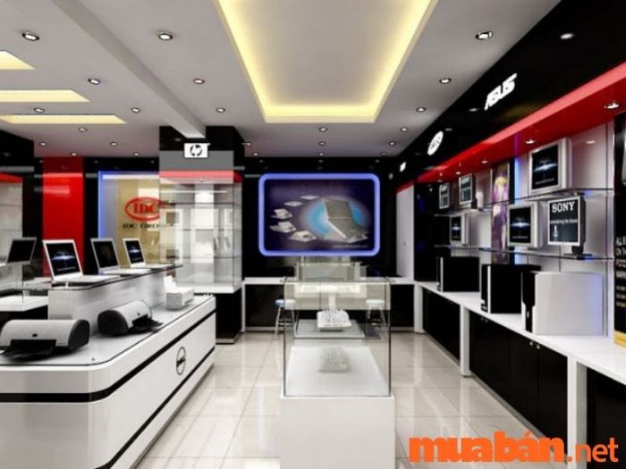 Thiết kế Showroom phong cách sáng tạo và nổi bật