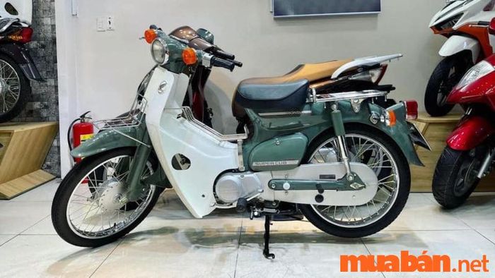 Trong danh sách những mẫu xe số được ưa chuộng nhất hiện nay, có không ít lựa chọn đáp ứng nhu cầu của người dùng với sự mạnh mẽ và tiện ích.