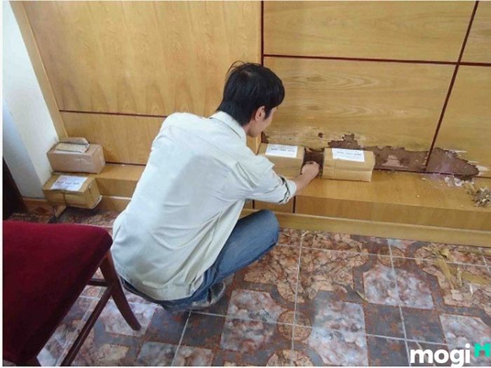 phương pháp diệt mối trong tường nhà