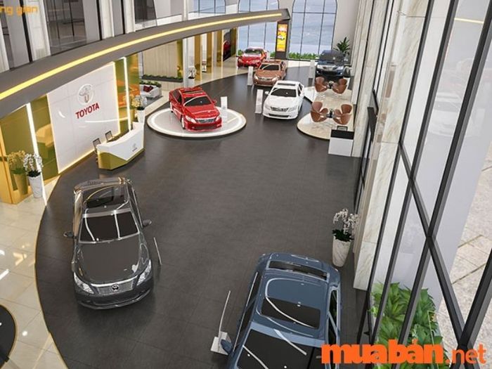 Thiết kế Showroom thu hút với phong cách sáng tạo và hiện đại