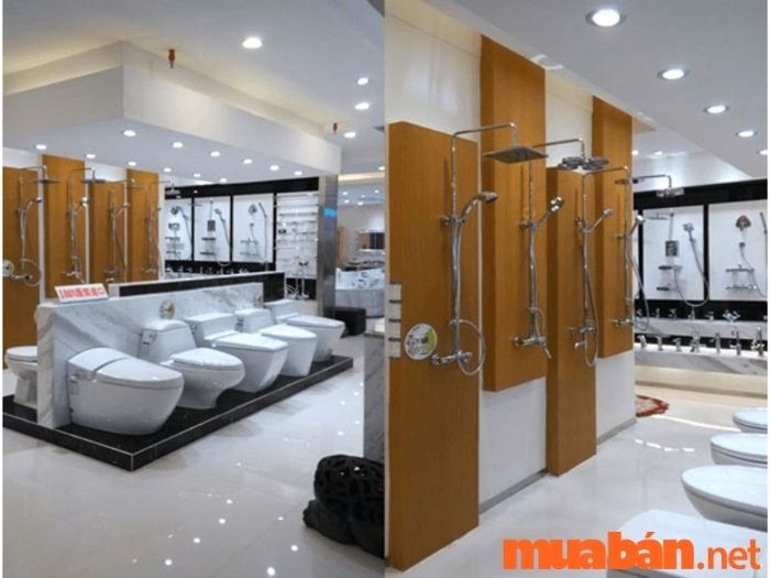 Thiết kế Showroom ấn tượng, chuyên nghiệp và thu hút khách hàng