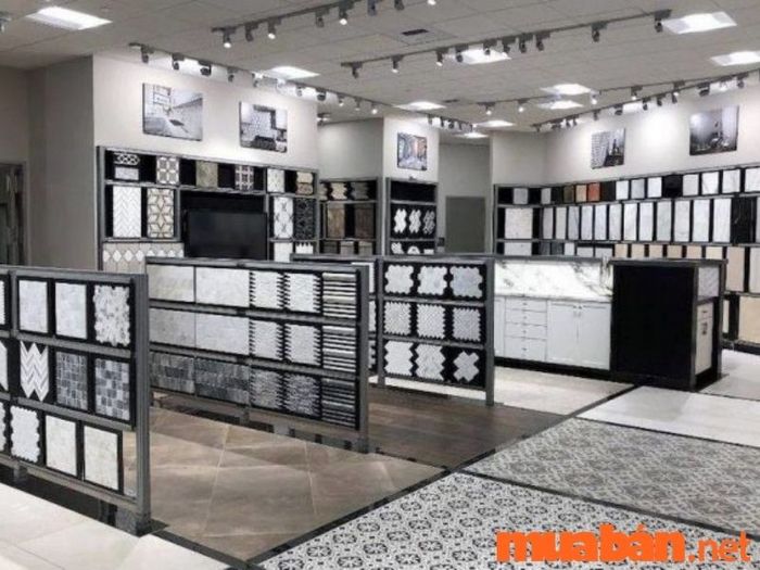 Thiết kế showroom ấn tượng và độc đáo, thu hút mọi ánh nhìn