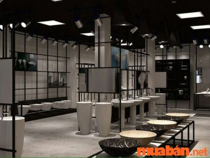 thiết kế showroom