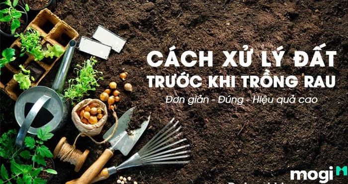 sùng đất