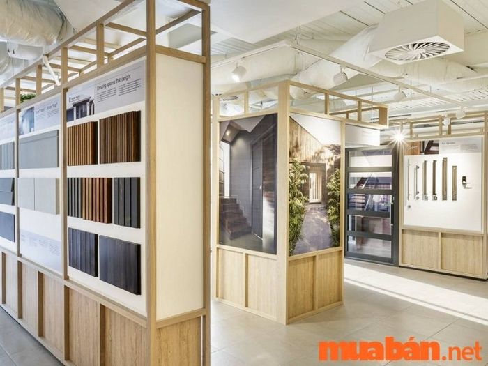 thiết kế showroom