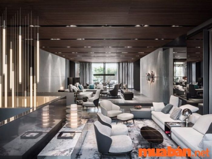 Thiết kế showroom đẹp mắt và chuyên nghiệp cho không gian văn phòng