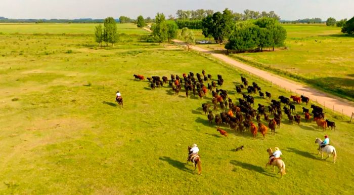 Argentina’s sprawling estancia ranches are where the country’s world-renowned beef is raised.