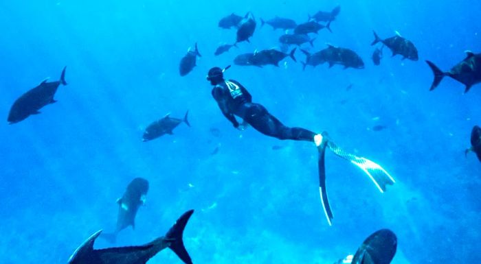 Champion freediver David Mulheron relocated to Christmas Island in 2019 to immerse himself in its rich underwater world.