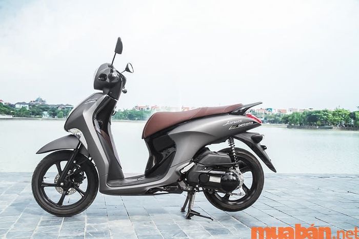 Yamaha Janus có thiết kế nhỏ gọn, rất lý tưởng cho các bạn sinh viên nữ.