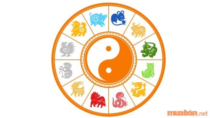 Lựa chọn tuổi xông đất theo Địa chi