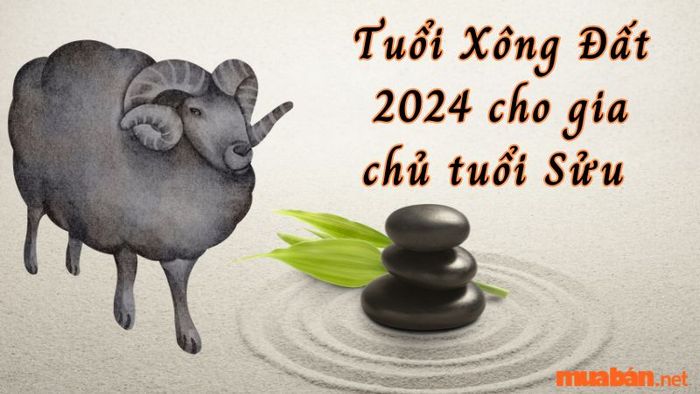 Tuổi xông đất cho gia chủ tuổi Sửu trong năm 2024